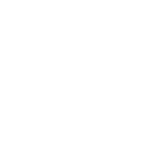 NoirVita logo