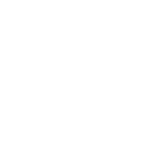 NoirVita